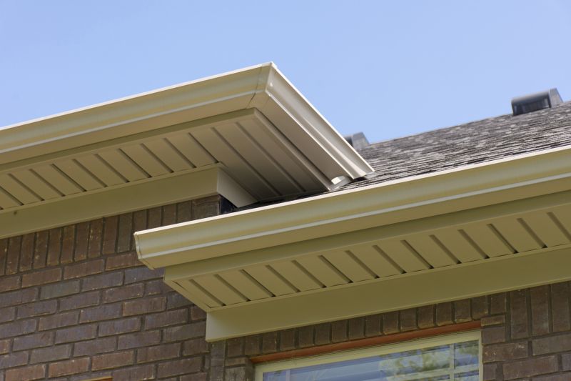 Soffit Painting in Fort Collins, CO