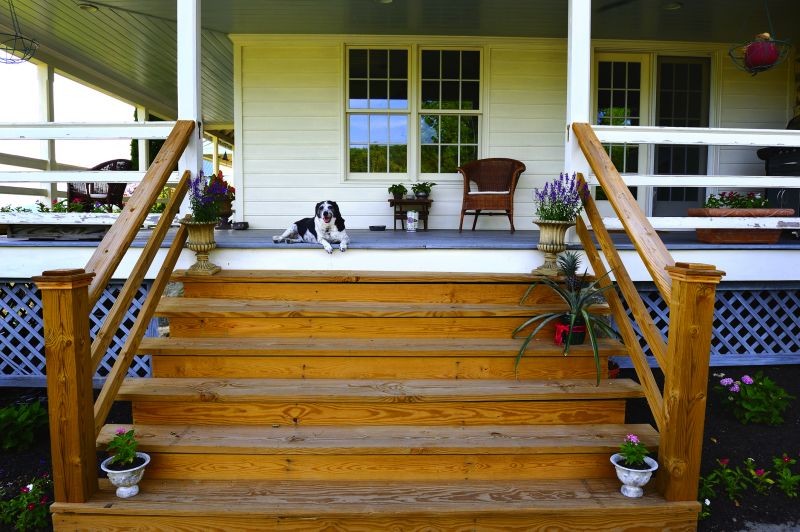 Outdoor Stairs Painting in Arvada, CO