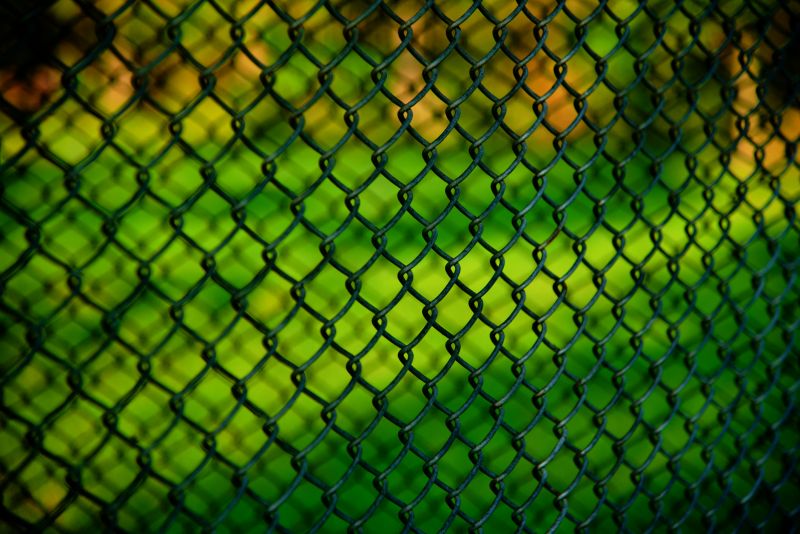 Wire Fence Painting in Waco, TX
